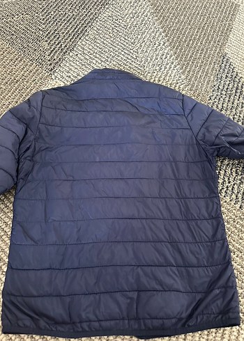 USPA Gri Fermuarlı Kadın Kış Montu - Görsel 2