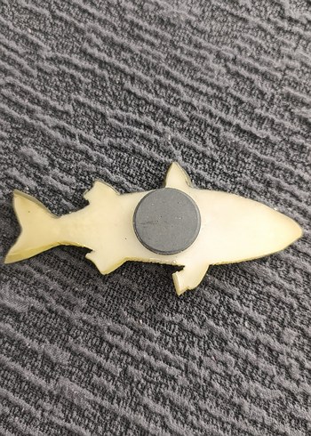 Koleksiyonluk Magnet - Görsel 2