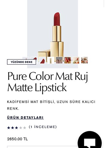 Estee Lauder Estee Lauder Pure Color Mat Ruj