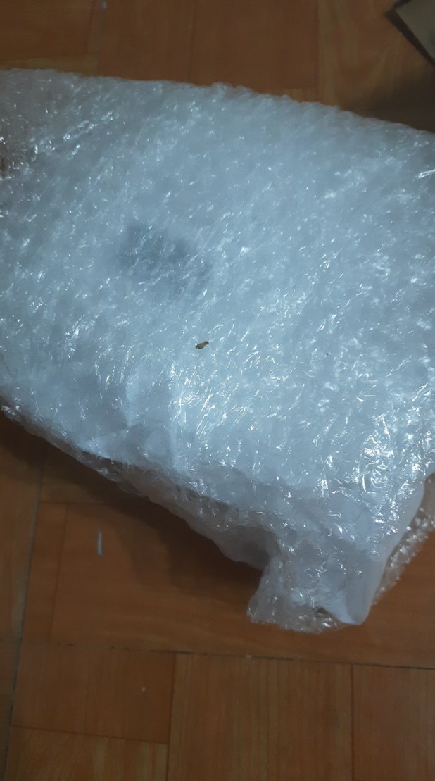 Profesyonel LED Tırnak Kurutucu Lambası - Görsel 2