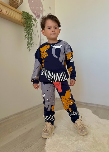 5 Yaş Beden gri Renk Erkek Çocuk Zebra Desenli Gri Sweatshirt ve Eşofman
