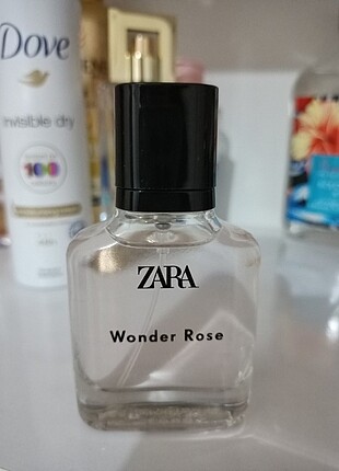 zara wonder rose 