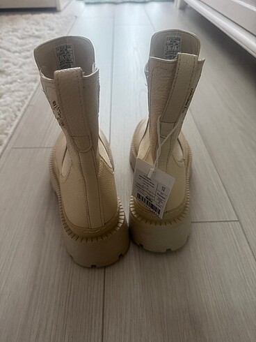 38 Beden Us Polo bot
