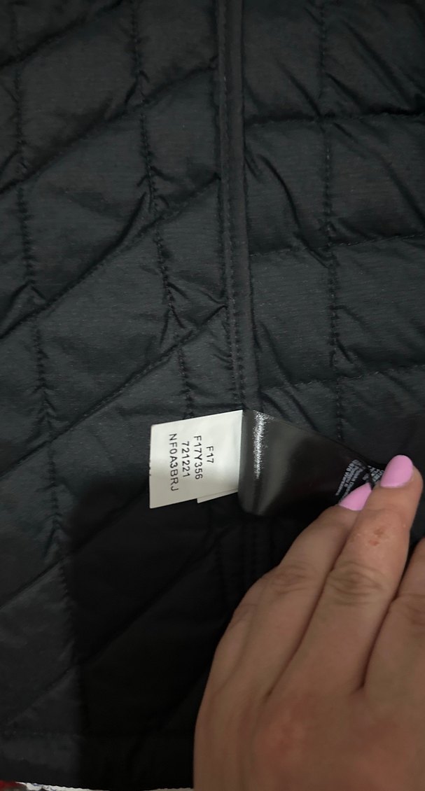 Siyah Kapüşonlu Kadın Mont the north face - Görsel 2