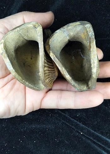 antika çift karyola başlığı filler - Görsel 2