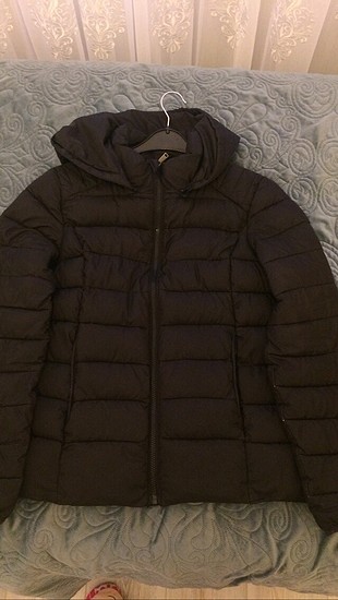 Koton mont