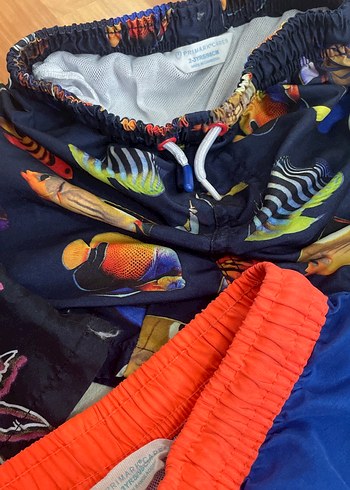 Renkli Bağcıklı Erkek Şortlar - Görsel 3