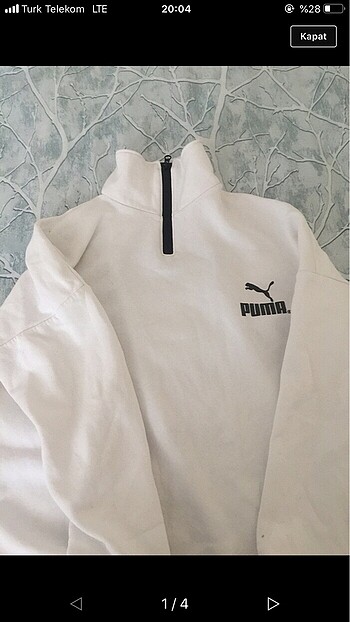 Puma sweet