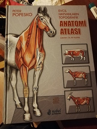 Veteriner Anatomi Atlası 