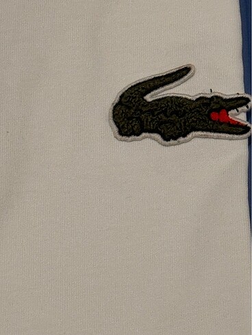 Lacoste Lacoste Unisex Loose Fit Bisiklet Yaka Organik Pamuk T-Shirt