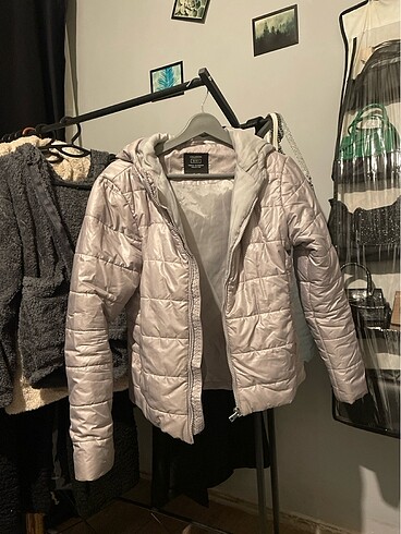 Collezione Montt