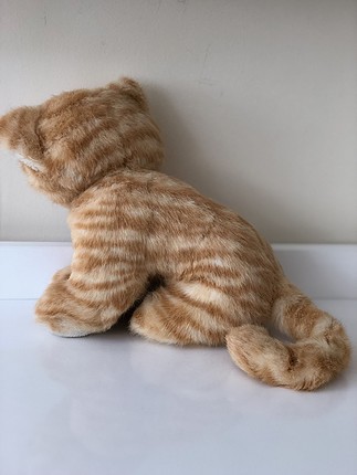 Diğer Sarı kedi
