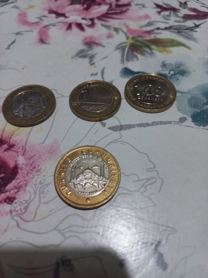 Anı Parası 1 Tl - Görsel 3