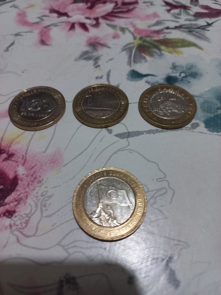 Anı Parası 1 Tl - Görsel 2