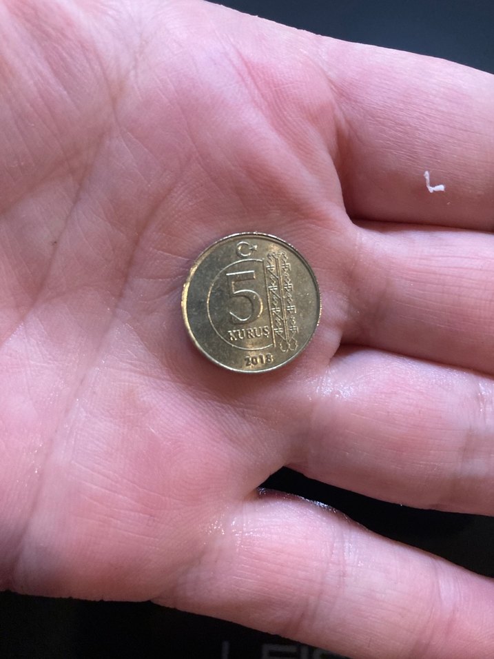 5 kurus 10 kurus-Hepsinın fiyatı - Görsel 3