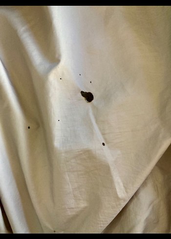 Beymen club large beden Erkek Mont - Görsel 8