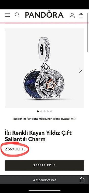 Pandora charm