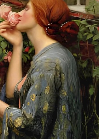 Premium Bebek Pudrası Tütsü Çubukları - Görsel 4