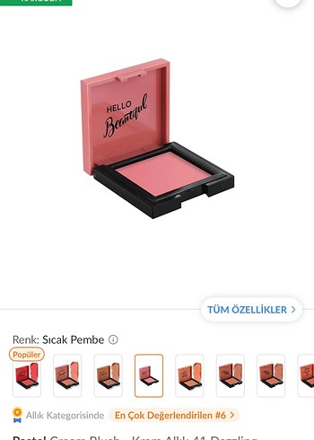 Pastel Krem Allık 41 eski kalıcı yapı - Görsel 2