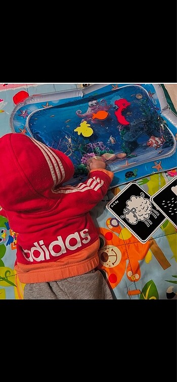 Adidas Orijinal Adidas ceket unisex