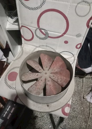 Kapaklı Elektrikli Fan 25 cm Çapında - Görsel 2