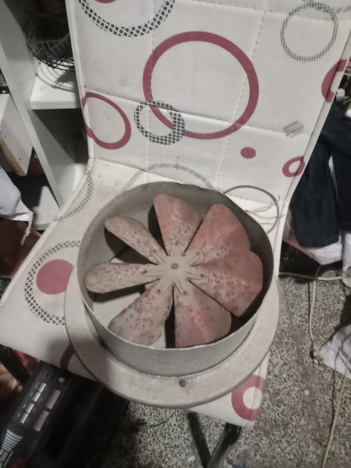 Kapaklı Elektrikli Fan 25 cm Çapında - Görsel 2