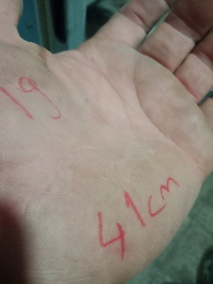 ispanyolet 41cm - Görsel 4