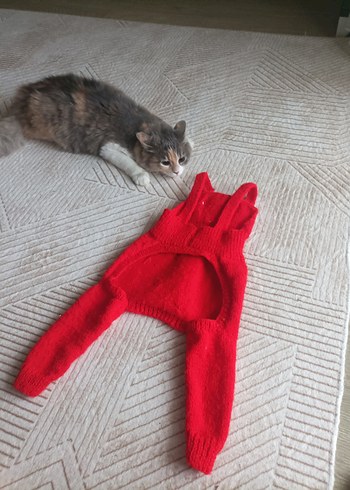 Nakışlı Kırmızı Örgü Kedi köpek slop Tulumu - Görsel 4