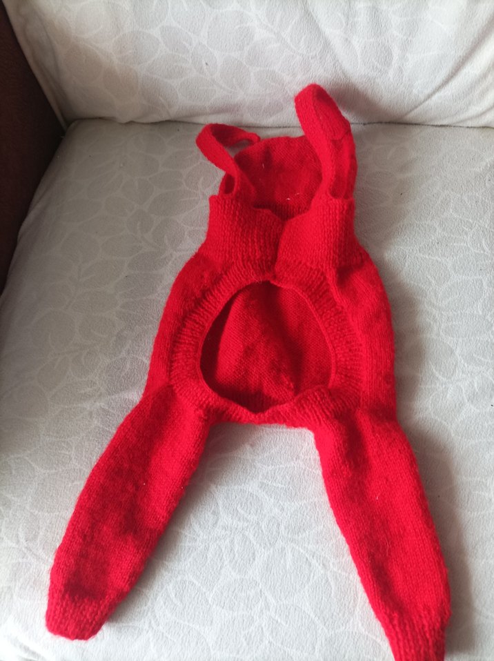 Nakışlı Kırmızı Örgü Kedi köpek slop Tulumu - Görsel 3