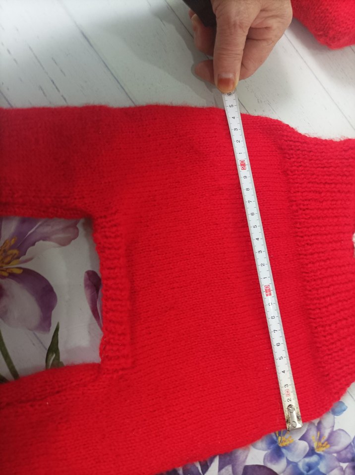 Nakışlı Kırmızı Örgü Kedi köpek slop Tulumu - Görsel 5