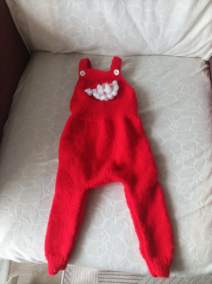 Nakışlı Kırmızı Örgü Kedi köpek slop Tulumu - Görsel 2