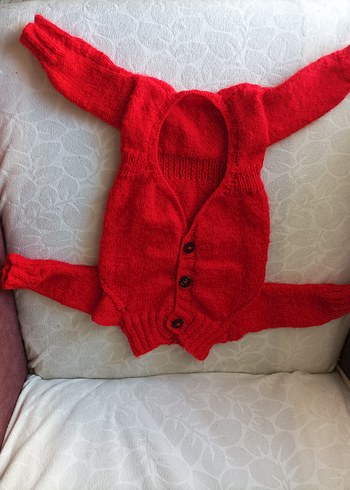 Kırmızı Nakışlı Örgü Köpek Kıyafeti - Görsel 2