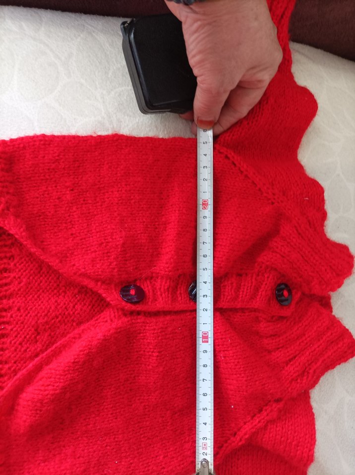 Kırmızı Nakışlı Örgü Köpek Kıyafeti - Görsel 4