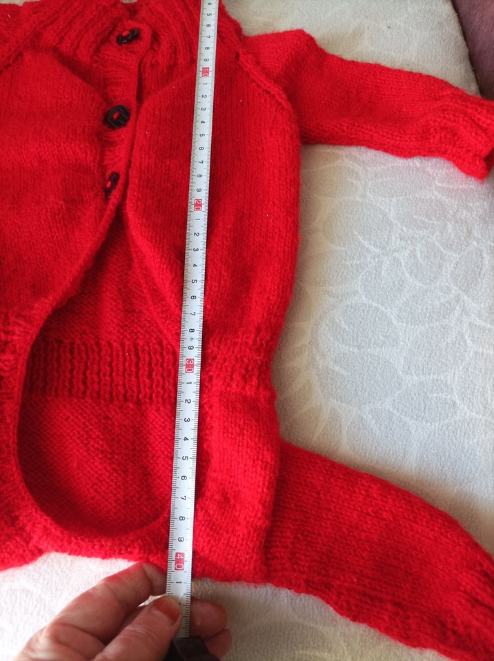 Kırmızı Nakışlı Örgü Köpek Kıyafeti - Görsel 3