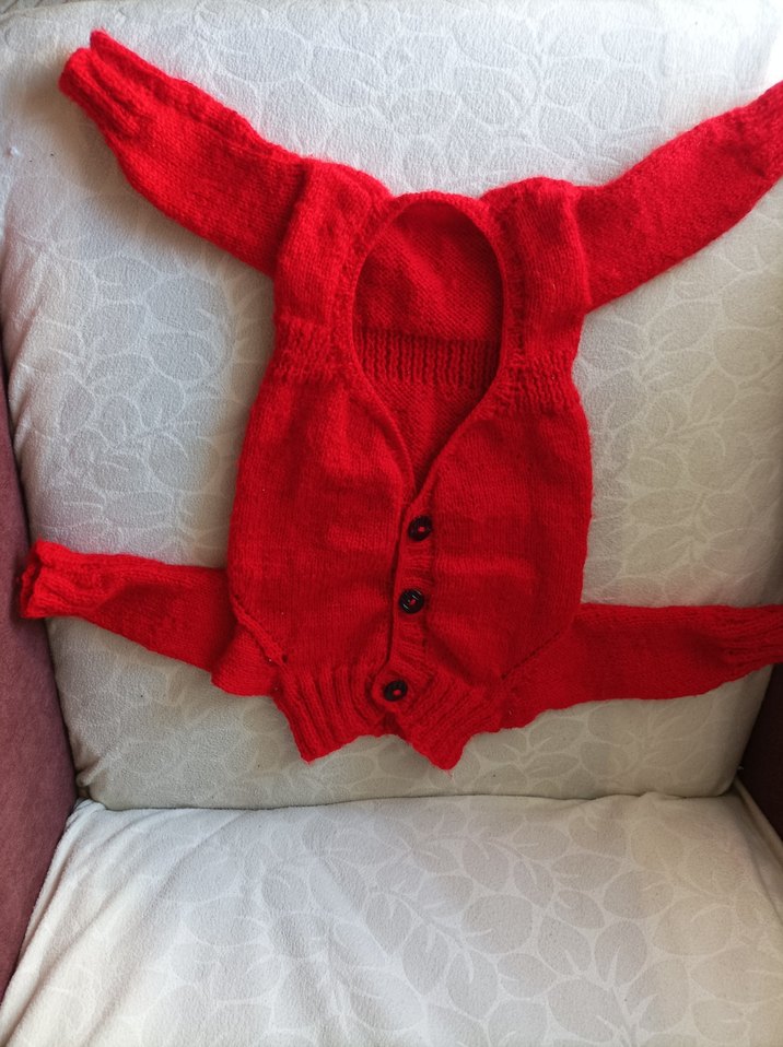 Kırmızı Nakışlı Örgü Köpek Kıyafeti - Görsel 2
