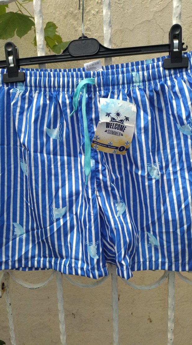 Mavi Çizgili Erkek Mini Plaj Şortu - Görsel 3