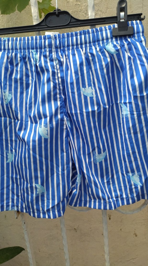 Mavi Çizgili Erkek Mini Plaj Şortu - Görsel 5