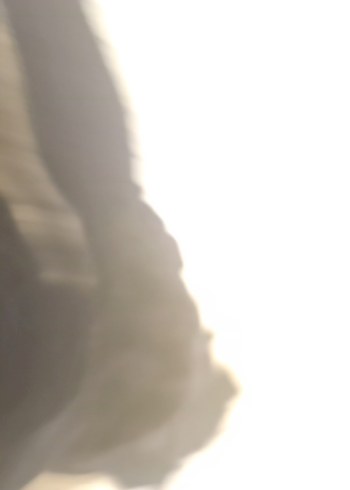 KnitssKadın Siyah Piliseli Uzun Etek - Görsel 2