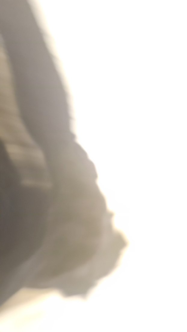 KnitssKadın Siyah Piliseli Uzun Etek - Görsel 2