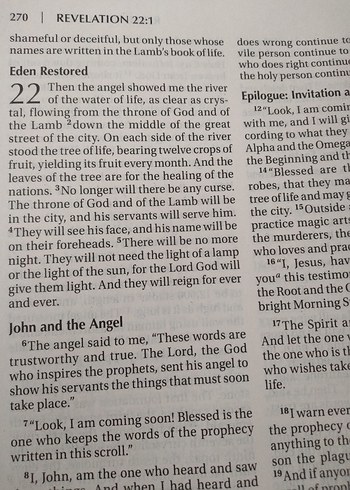 Beden Renk Holy Bible,New testament
