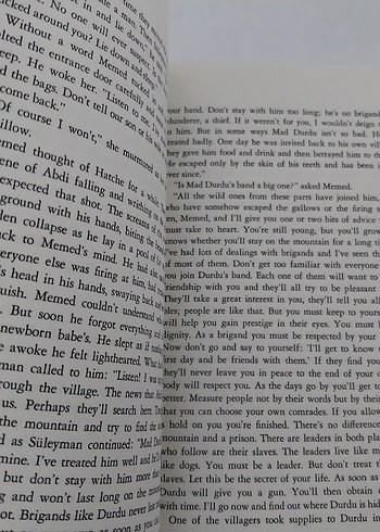 Memed, My Hawk - Yaşar Kemal (İnce Memed) - Görsel 8