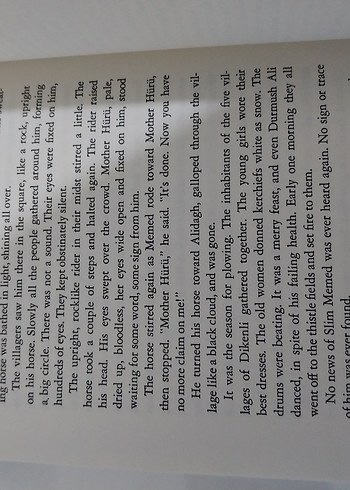 Memed, My Hawk - Yaşar Kemal (İnce Memed) - Görsel 7