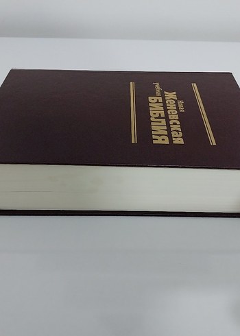 Yeni Cenevre Öğrenim İncil'i - Görsel 3