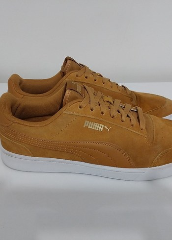 Puma 43