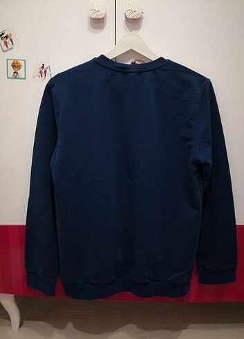 LC Waikiki Erkek sweatshirt