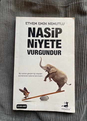 Nasip Niyete Vurgundur - Ethem Emin Nemutlu