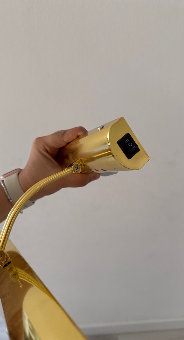 Kuğu Aplik ledli - Görsel 3