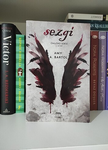Sezgi (Öngörü Serisi 2. Kitap)
