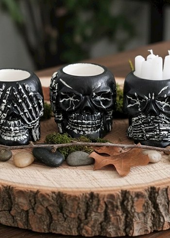 3'lu Organizer Kurukafa Seti - Görsel 14