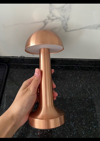 Parlak Bej Metal Masa Lambası - Görsel 2